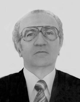 Nelson Pereira de Arruda
